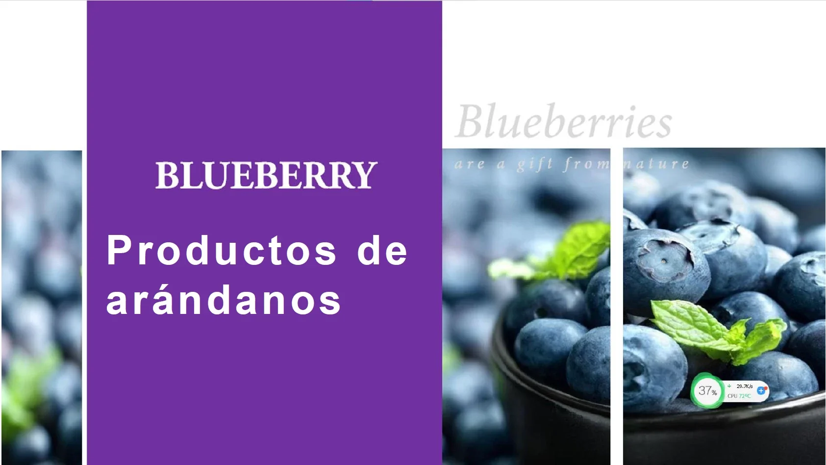 Productos Arandanos Pure Blueberry